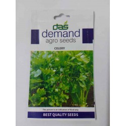 DAS agro seeds ( Celery ) 300 Seeds