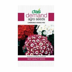 DAS agro seeds ( Cineraria hansa mix )