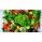 Exotic Vegetables Garden Seeds