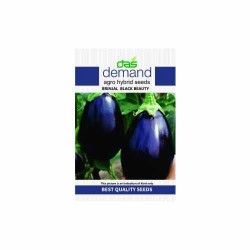 DAS hybrid seeds ( Brinjal black beauty )