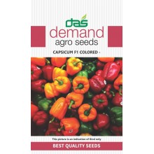 DAS agro seeds ( Capsicum F1 colored ) 20 Seeds