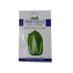 DAS agro seeds ( Chinese Cabbage - F1 hybrid ) 60 Seeds