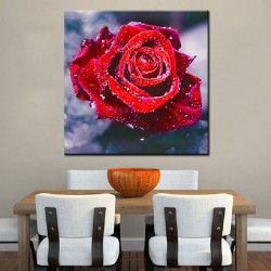 5d Rubik's Cube Diamond Painting Delicate Rose Full Diamond(Diamond+tool+canvas)