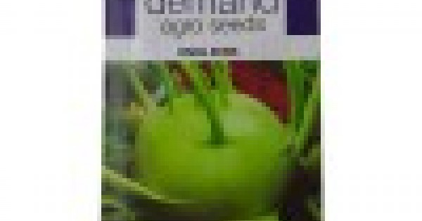 DAS agro seeds ( Knol Knol ) 100 Seed