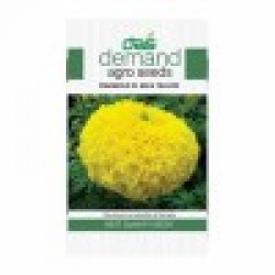 DAS agro seeds ( Marigold F1 INCA yellow ) 20 Seeds