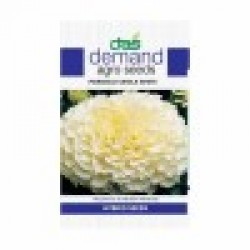 DAS agro seeds ( Marigold vanila white ) 60 seeds