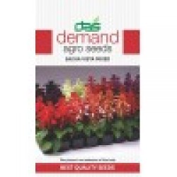 DAS agro seeds ( salvia vista mix ) 30 Seeds
