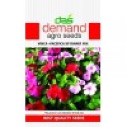 DAS agro seeds ( Vinca - Pacefica XP dwarf mix ) 40 Seeds