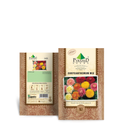 Chrysanthemum Mix Seeds