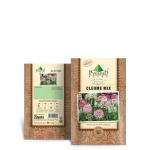 Cleome Mix Seeds