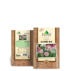 Cleome Mix Seeds