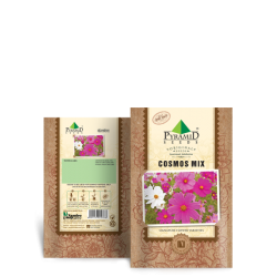 Cosmos Mix Seeds
