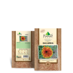 Gallardia Seeds