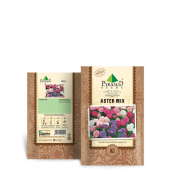 P-S	Aster Mix Flower Seeds