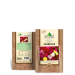 P-S Carnation Flower Seeds