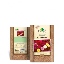 P-S Carnation Flower Seeds