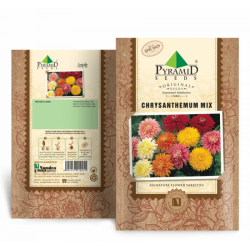 P-S	Chrysanthemum Mix Flower Seeds