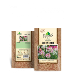 P-S	Cleome Mix Flower Seeds