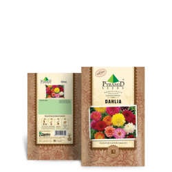 P-S	Dahlia Flower Seeds