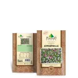 P-S	Gypsophilla Flower Seeds