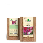 P-S Phlox Flower Seeds