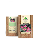 P-S	Aboli Pink Flower Seeds