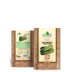 P-S	Green Cucumber ( Long ) Vegetable Seeds