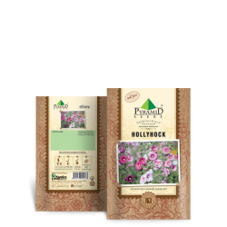 Hollyhock Seeds