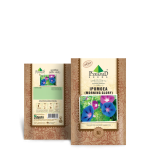 Ipomoea Morning Glory Seeds