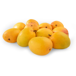 Devgad Alphonso Mango - Hapus - 1 Dozen