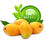 Ratnagiri Alphonso Hapus 6 Nos