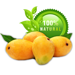 Ratnagiri Alphonso Hapus 6 Nos