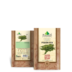 Pigeon Pea Seeds