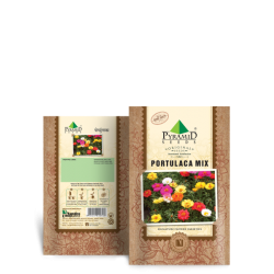 Portulaca Mix Seeds