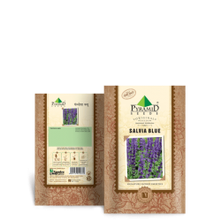 Salvia Blue Seeds