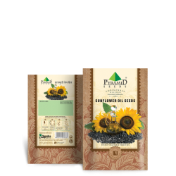 Sunflower Oil Seeds