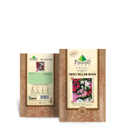 Sweet William Mixed Seeds