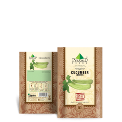 White Cucumber Seeds (Khira)