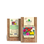 Zinnia Lilliput Mix Seeds