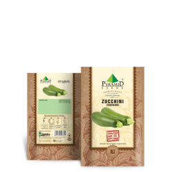 Zucchini Seeds (Squash)